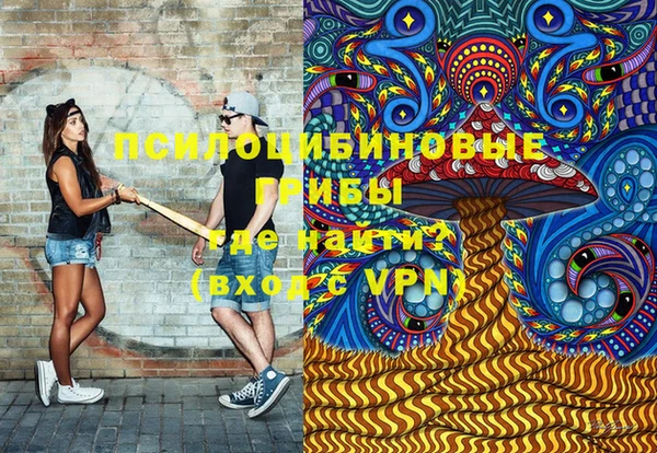 mdpv Белокуриха
