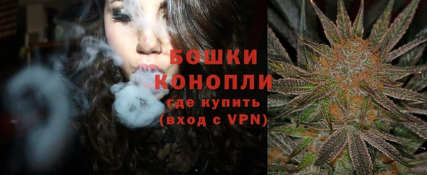 mdpv Белокуриха